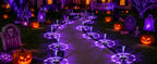 GIGALUMI 11762 Halloween Solar Pathway Stake Lights – 12 pack, Purple – Purple / 12 pack – product detail