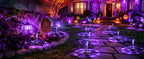 GIGALUMI 11762 Halloween Solar Pathway Stake Lights – 12 pack, Purple – Purple / 12 pack – product detail