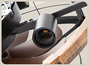 LEDIARY 20-Inch Caged Ceiling Fan, Black and Gold