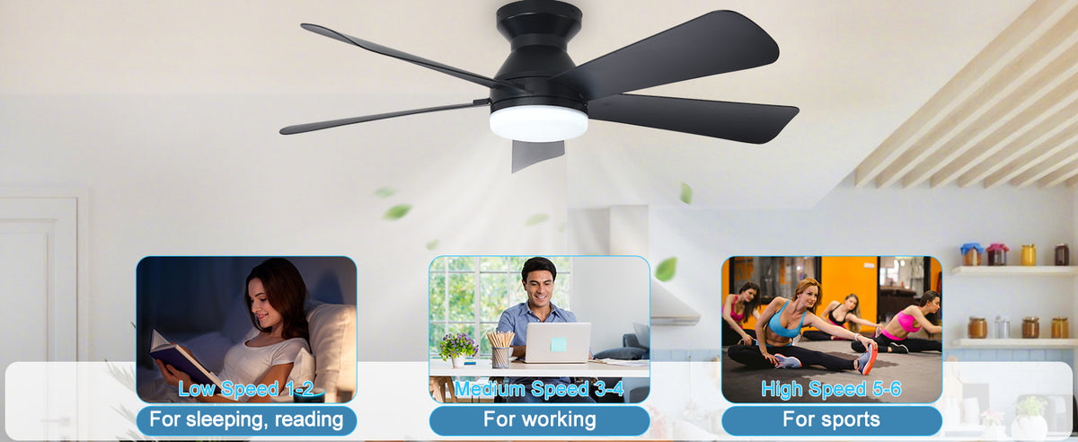 Depuley 42-Inch Ceiling Fan with Dimmable LED Light, Black