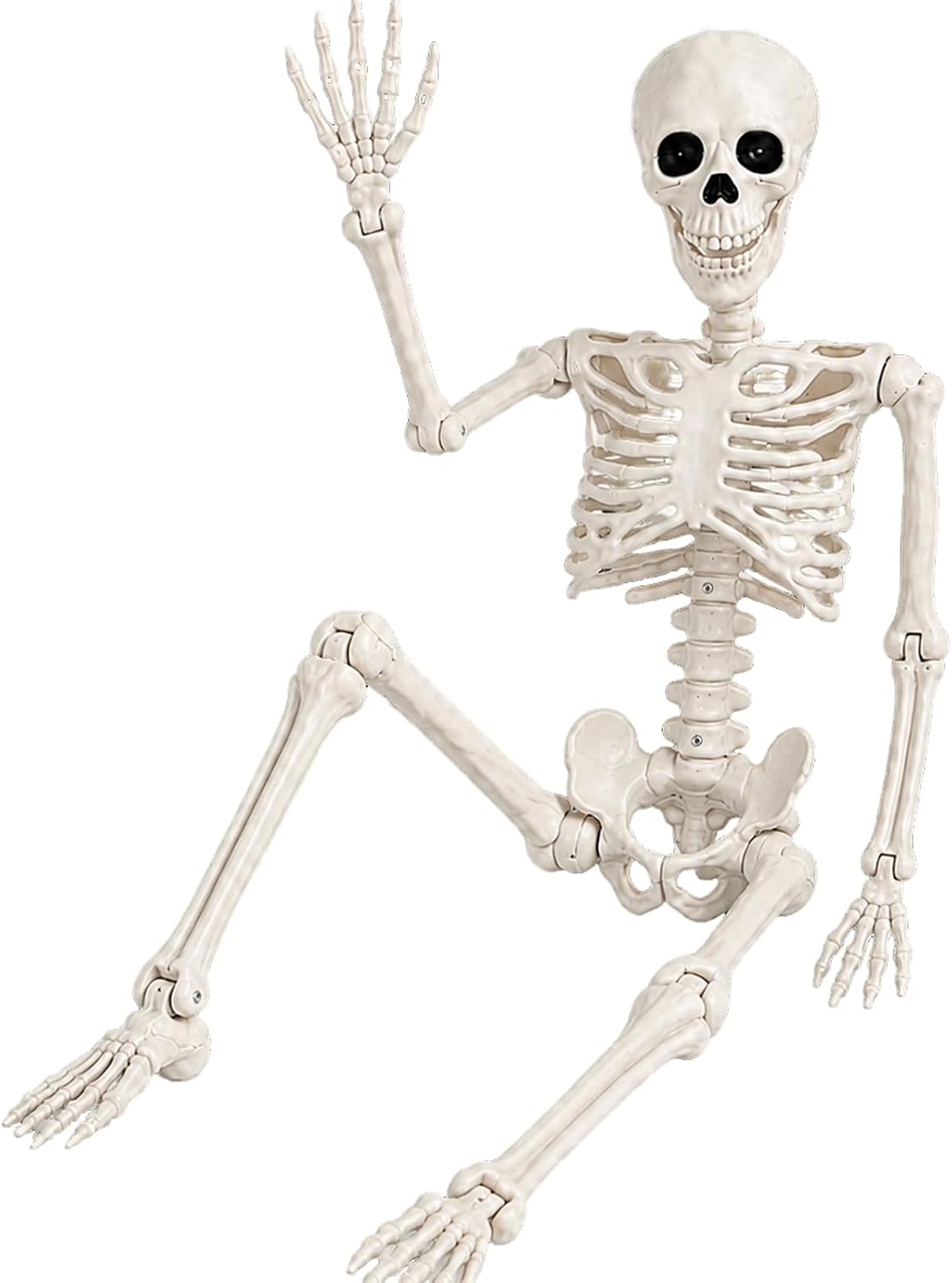 Abakuku Posable Halloween Skeleton Decorations, 16 or 36 Inch
