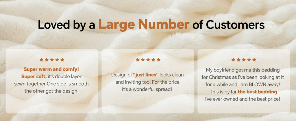 BEDELITE Queen Fleece Comforter Set, Cream White