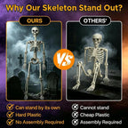 wymulot 2-Pack 40-Inch Posable Halloween Skeletons – 2 Pack 40 Inches Halloween Skeleton – product detail