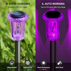 DenicMic CL-XDC Halloween Solar Lights – Purple 10Pack – product detail