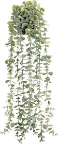 Der Rose Faux Hanging Eucalyptus in Pot, 24 in