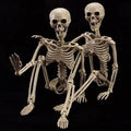 wymulot 2-Pack 40-Inch Posable Halloween Skeletons