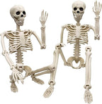 Znorso P0033A 2-Pack Posable Halloween Human Skeletons – 36 IN, White