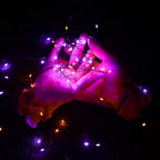 Lomotech 2-Pack 66-Foot 200-LED Solar Halloween String Lights – Orange&Purple – product detail