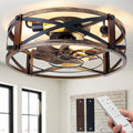 Passky 20-Inch Caged Ceiling Fan, Black Brushed Gold