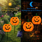 DAYLIGHTIR 2-Pack Solar Pumpkin Stake Lights – Orange – product detail