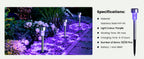 GIGALUMI 11762 Halloween Solar Pathway Stake Lights – 12 pack, Purple – Purple / 12 pack – product detail