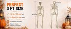Znorso P0033A 2-Pack Posable Halloween Human Skeletons – 36 IN, White – 36 IN / White – product detail