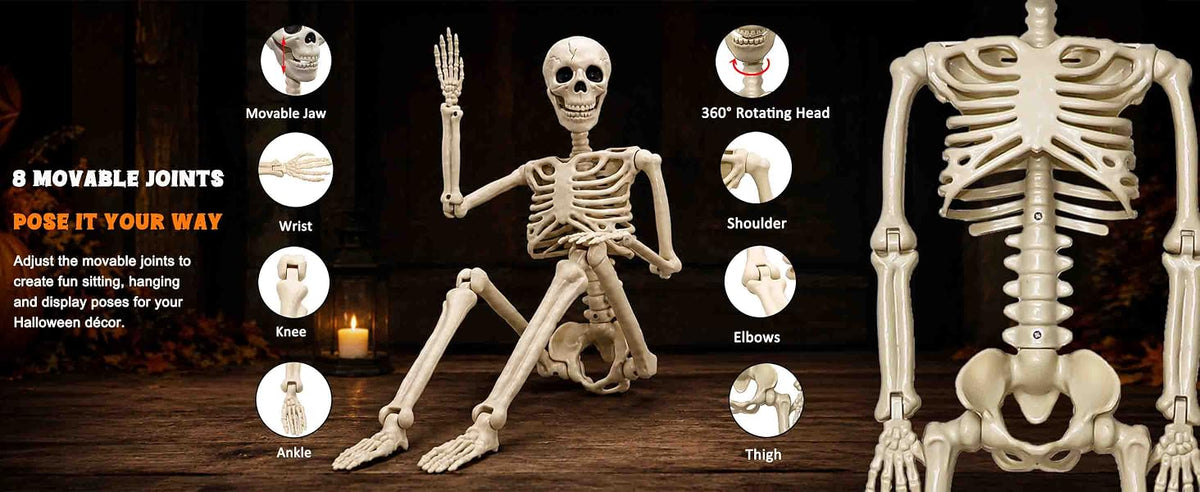 Znorso P0033A 2-Pack Posable Halloween Human Skeletons – 36 IN, White – 36 IN / White – product detail