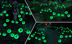 BeHiller BGYQG001 2-Pack 12-LED Solar Eyeball Garden Lights – Green – product detail