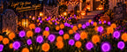 OZS Solar Firefly Garden Lights – 6 Pack, Purple Orange – Purple Orange / 6 Pack – product detail