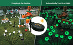 BeHiller BGYQG001 2-Pack 12-LED Solar Eyeball Garden Lights – Green – product detail