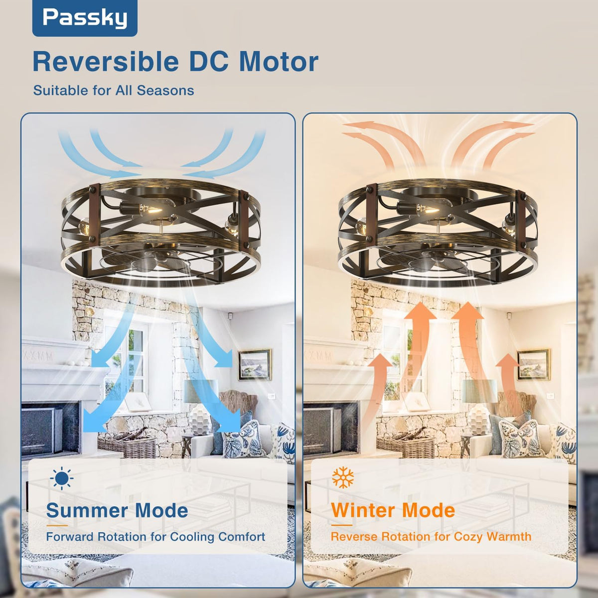 Passky 20-Inch Caged Ceiling Fan, Black Brushed Gold