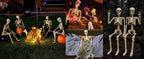 Znorso P0033A 2-Pack Posable Halloween Human Skeletons – 36 IN, White – 36 IN / White – product detail