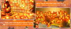 TURNMEON Lighted Maple-Leaf Garlands, 2-Pack