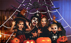 OCATO HF2106006 200-Inch Halloween Web & 59-Inch Spider Decoration Set – 200", Black – Black / 200" – product detail