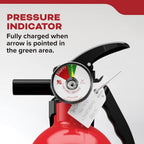 Kidde Basic 110 FA110G Home Fire Extinguisher, 1-Pack